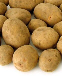 Lauvkar Potato